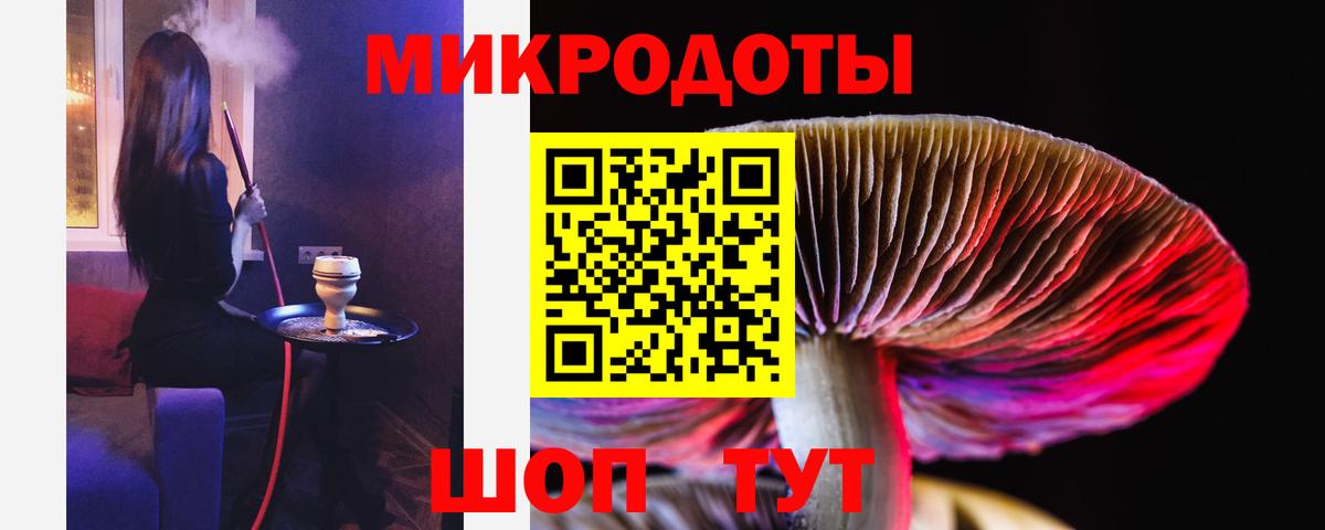 Галлюциногенные грибы Psilocybe Мариинск